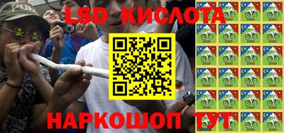 PSILOCYBIN Можга