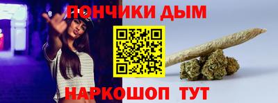 PSILOCYBIN Можга