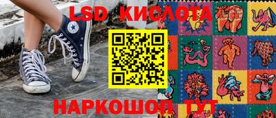 PSILOCYBIN Можга