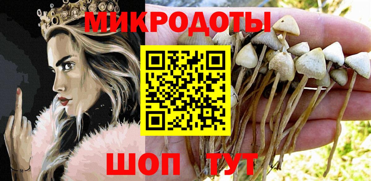 Галлюциногенные грибы Psilocybine cubensis Златоуст