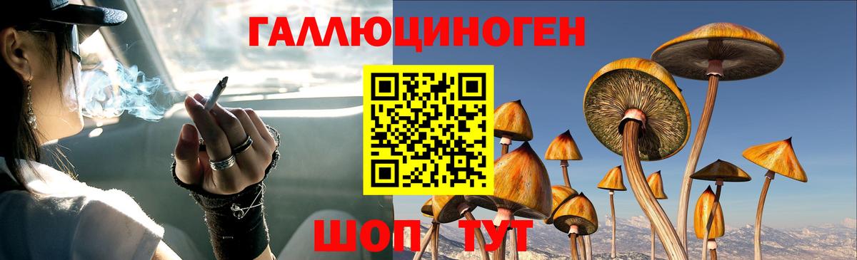 Галлюциногенные грибы ЛСД  Псилоцибиновые грибы ЛСД  Златоуст  Вход с VPN 