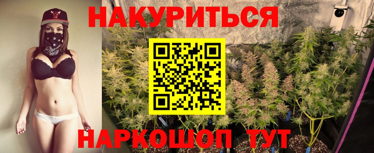 Каннабис семена  Конопля семена  Златоуст  Бошки марихуана White Widow  Вход с VPN 